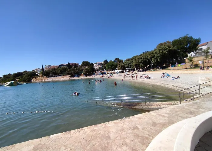 Garden Near The With Free Parking Lägenhet