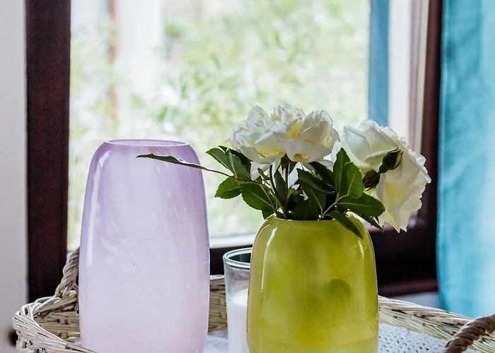 Garden Near The With Free Parking Lägenhet *